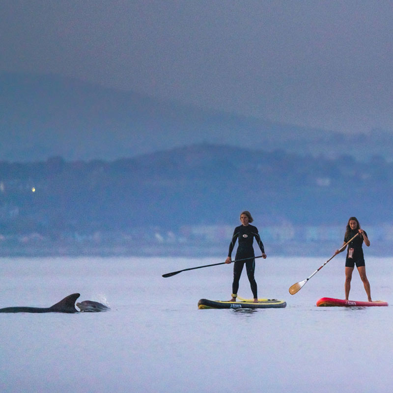 トップス wake sapporo / POLATEC Power Stretch / M O'SHEA 10'6